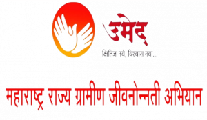 20250321969850908 300x174.png